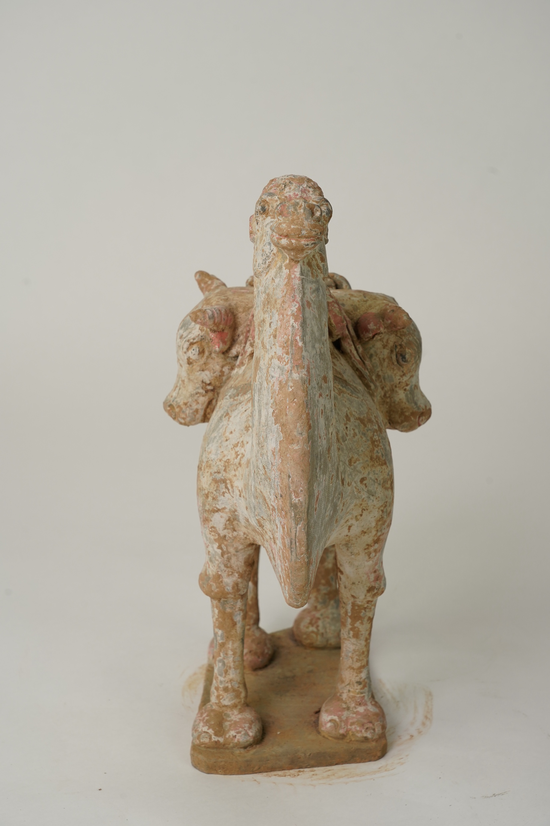 A Chinese pottery tomb figure of a Bactrian camel, Tang dynasty or later